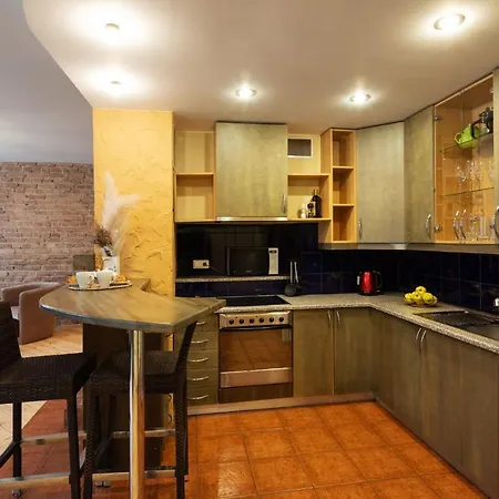 Old Aldaru Street Historic One Bedroom Appartement Riga